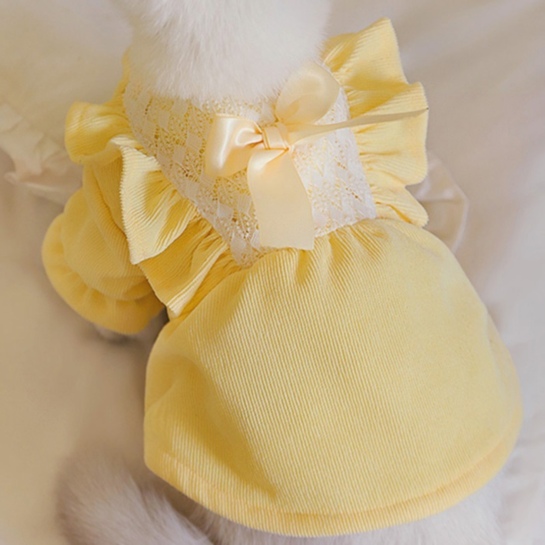 Vestido Pet Marisa